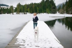 vet in whistler canada, veterinarians in whistler canada