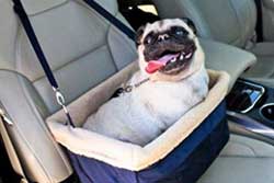 dog booster seat