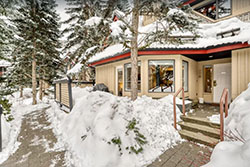 pet friendly vacation rental in whistler canada, vacation rentals with dogs allowed in whistler canada