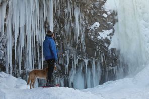 walking dog in winter in new york